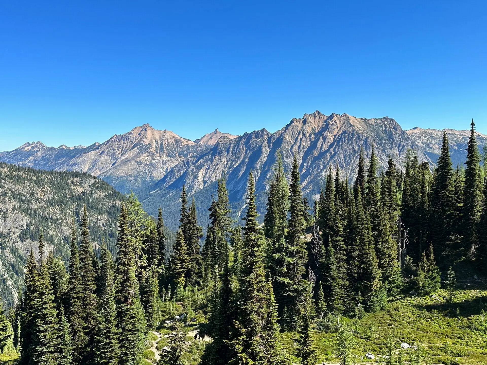 Granite peaks from Maple Pass Trail