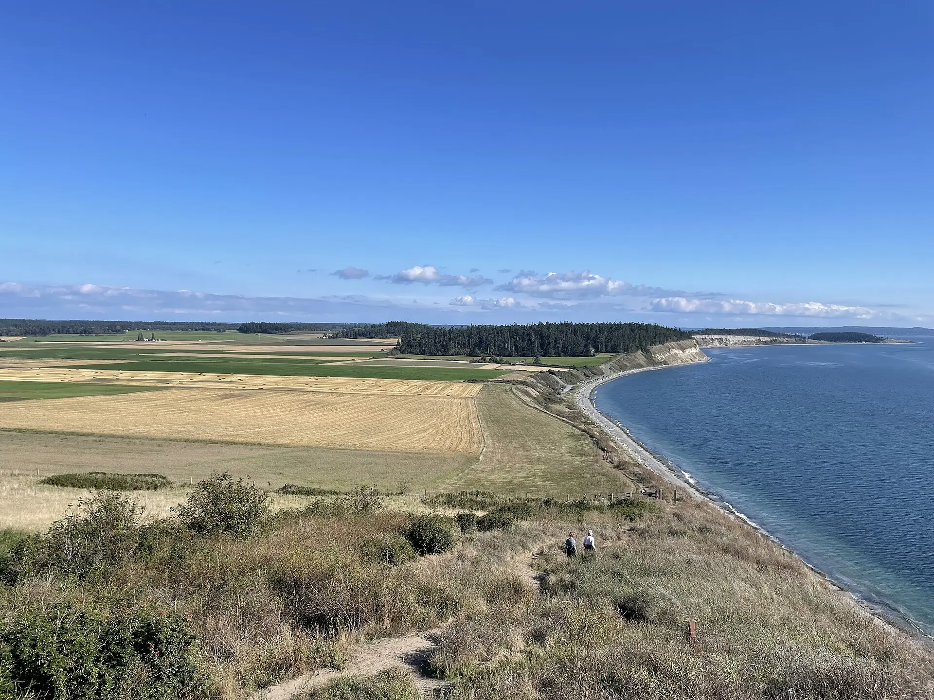 Fields and coastline at Ebey's Landing