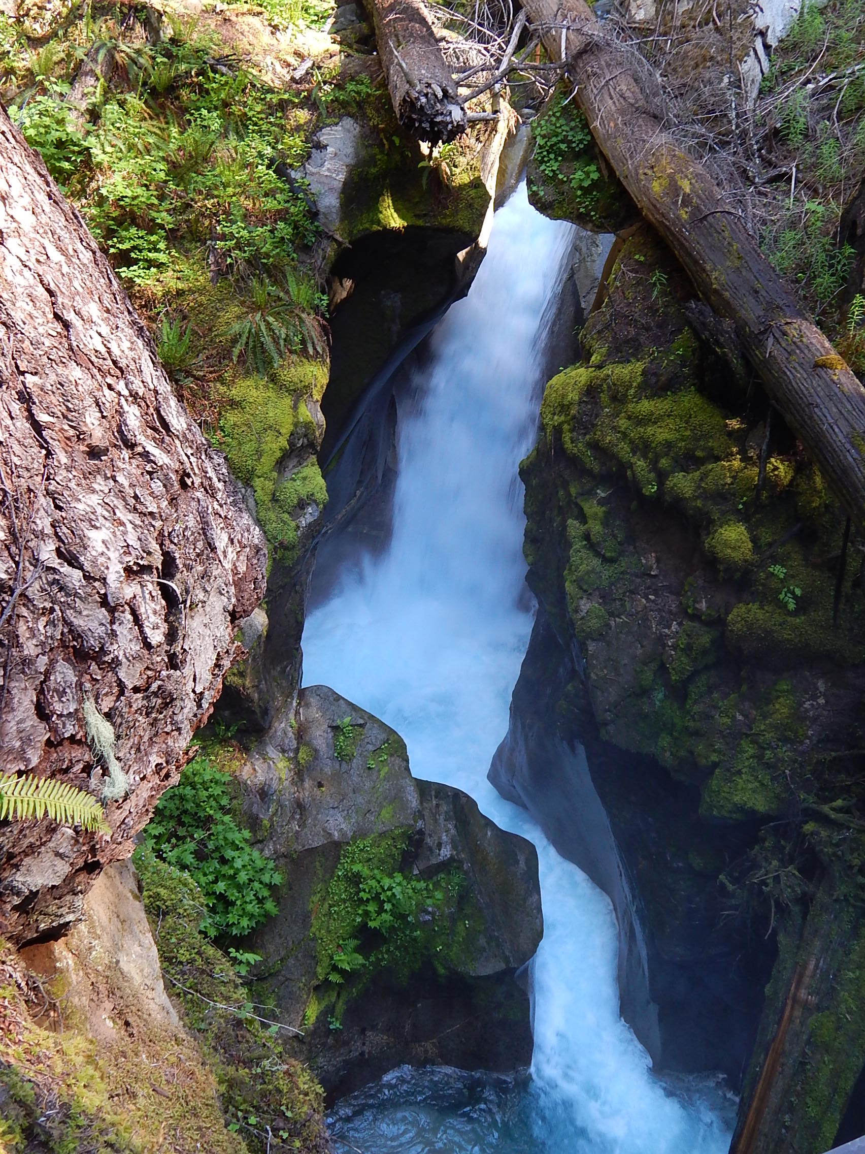 Ladder Creek Falls at Newhalem