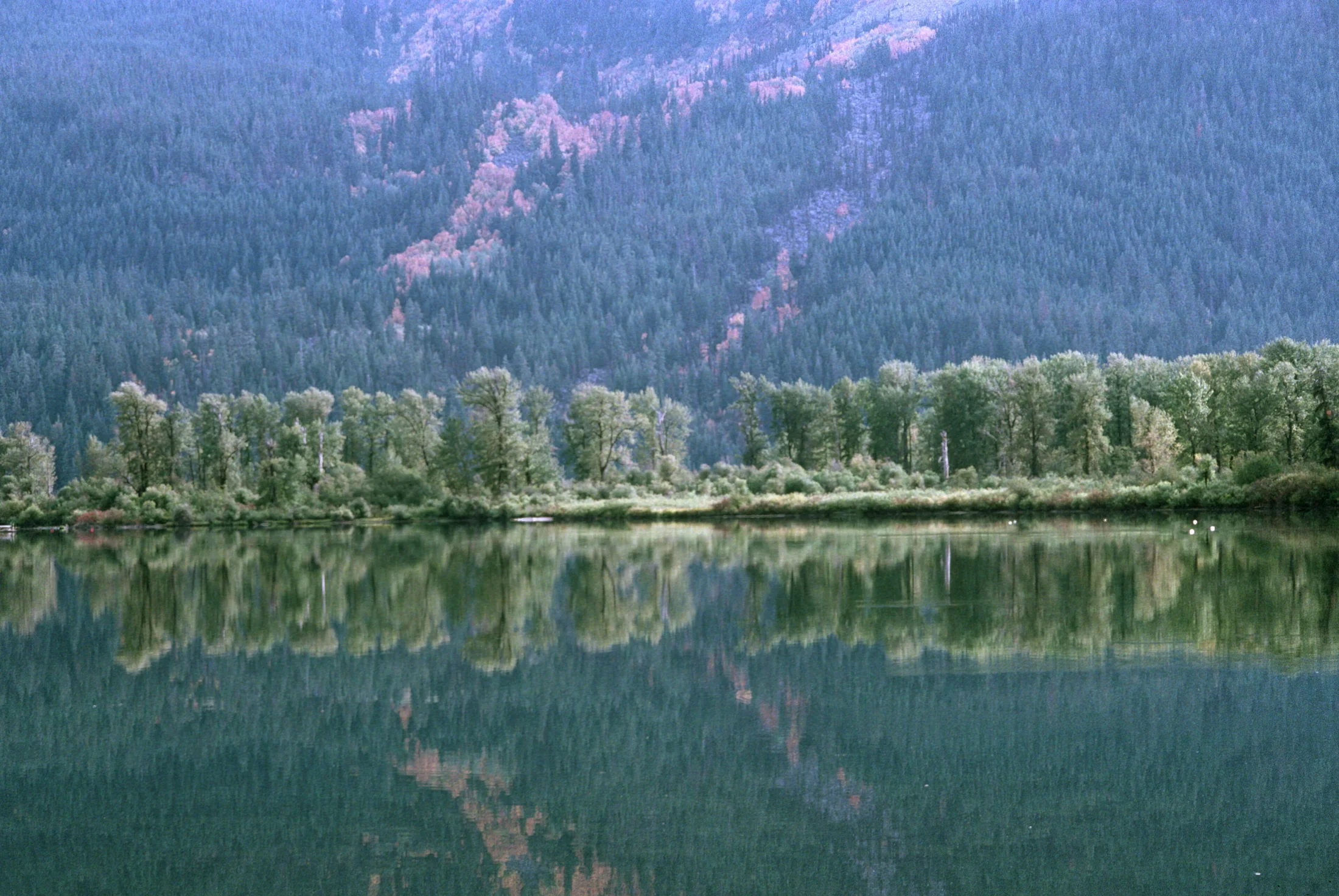 Lake Wenatchee reflecting its forested mountain shoreline