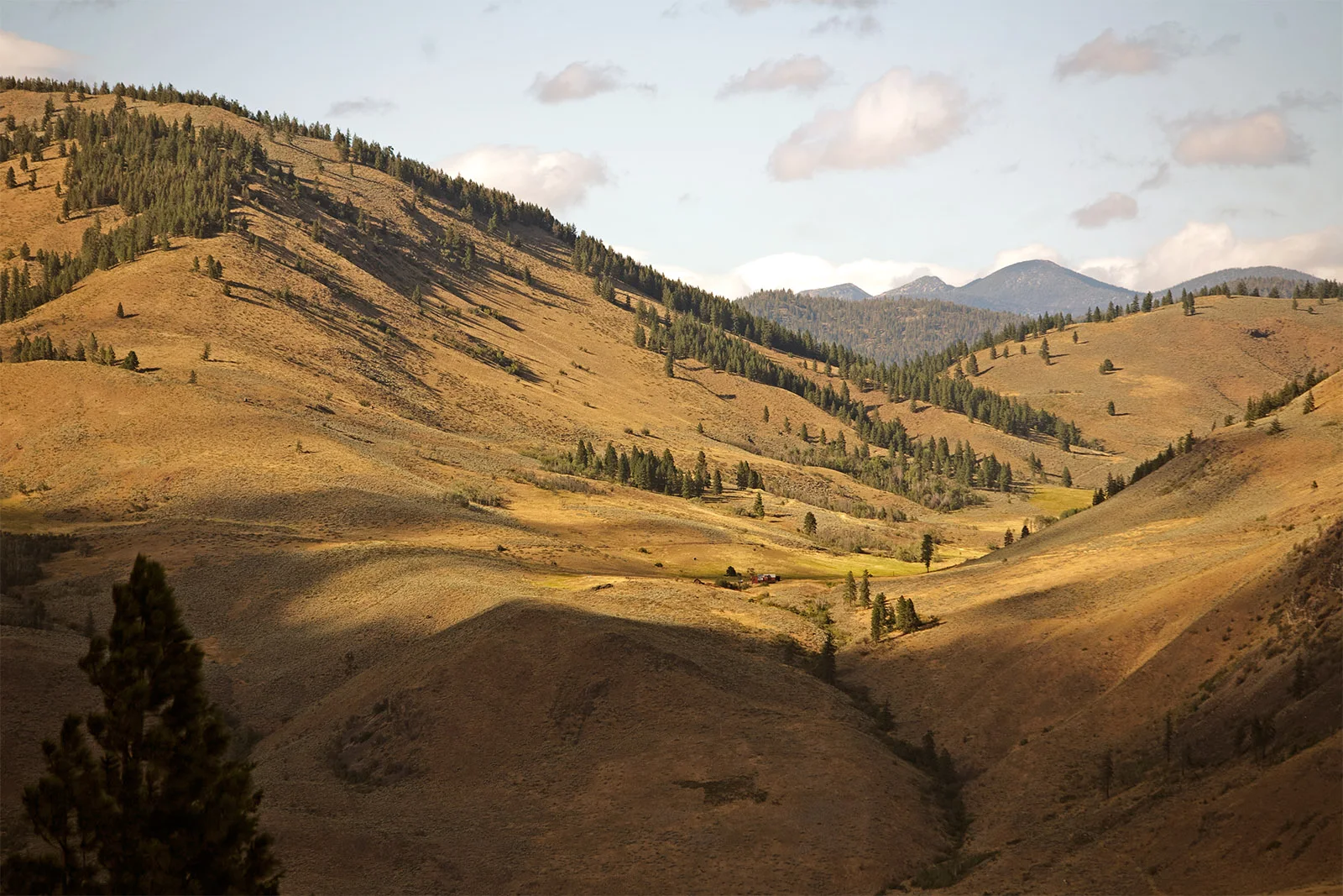 Golden hills and pine ridges across the Methow Valley from Sun Mountain